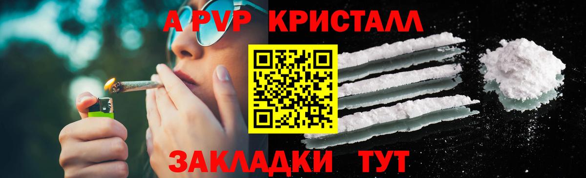 Альфа ПВП СК Ленинск-Кузнецкий
