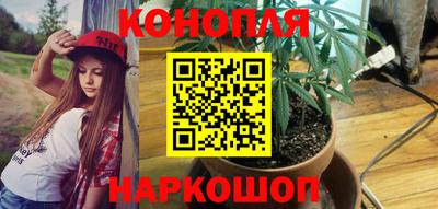 гашик Кандалакша