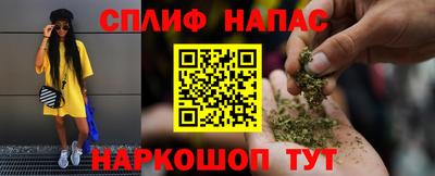 гашик Кандалакша