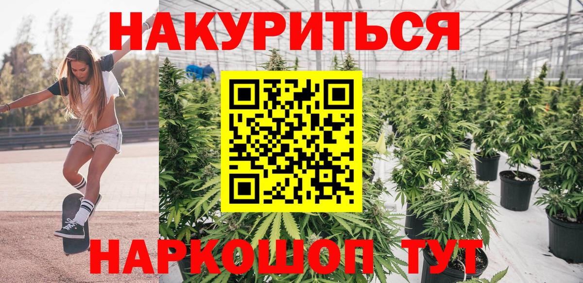 Бошки марихуана семена  Вход с VPN  Бошки Шишки сатива  Шишки марихуана ГИДРОПОН  Ленинск-Кузнецкий 